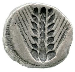 An image of Stater