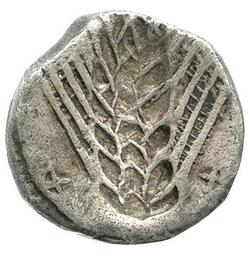 An image of Stater