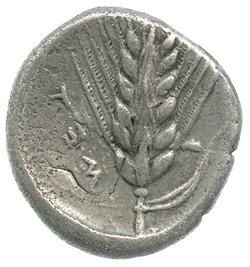 An image of Stater