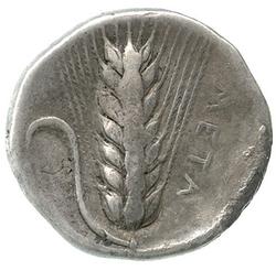 An image of Stater