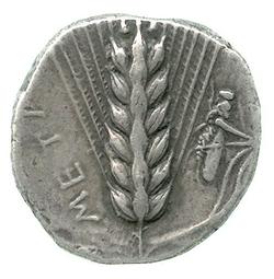 An image of Stater