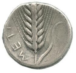 An image of Stater