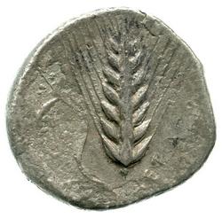 An image of Stater