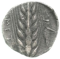 An image of Stater