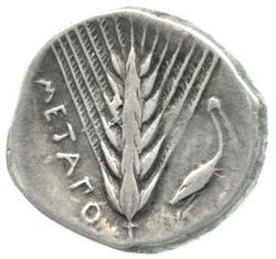 An image of Stater