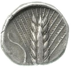 An image of Stater