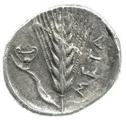 An image of Stater