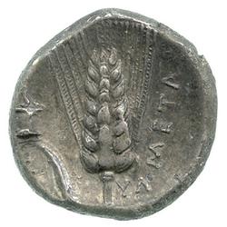 An image of Stater