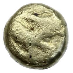 An image of 1/24 stater