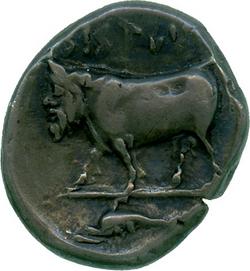 An image of Didrachm