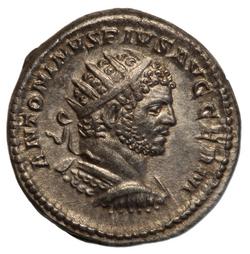 An image of Double denarius