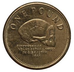An image of 1 pound