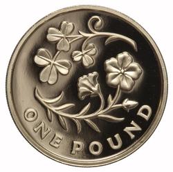 An image of 1 pound