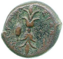 An image of Hemidrachm