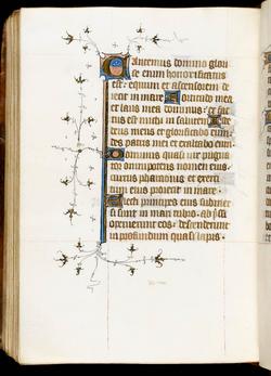 An image of Psalter