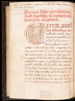 An image of Manuscript