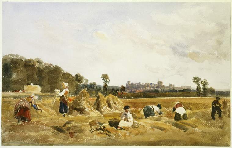 An image of Title/s: Cornfield Windsor 
Maker/s: De Wint, Peter (draughtsman) [ULAN info: British artist, 1784-1849]
Technique Description: watercolour with gum Arabic over traces of graphite
Dimensions: height: 290 mm, width: 461 mm 
Date: 1841-08
 

 
