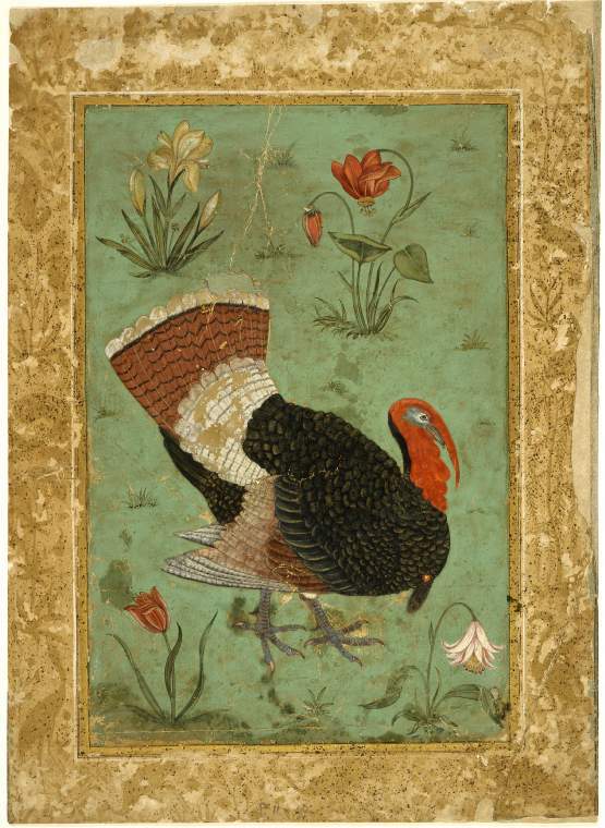 An image of Title/s: A turkey surrounded by four flowering plants Maker/s: Unknown (miniaturist), Mogul SchoolTechnique Description: bodycolour with pen and ink and gold on paper, laid down Dimensions: height: 208 mm, width: 136 mm Period: Shah Jahan  
