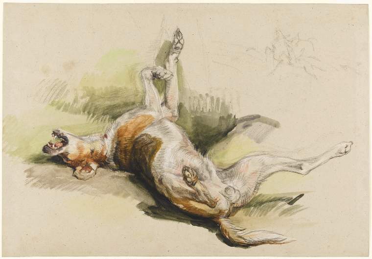 An image of Title/s: A Dead Dog Maker/s: Lewis, John Frederick (draughtsman) [ULAN info: British artist, 1805-1876]Technique Description: black chalk and watercolour on grey paper Dimensions: height: 282 mm, width: 409 mm