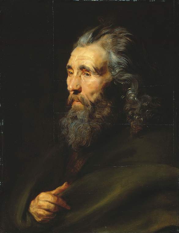 Head study of a bearded man