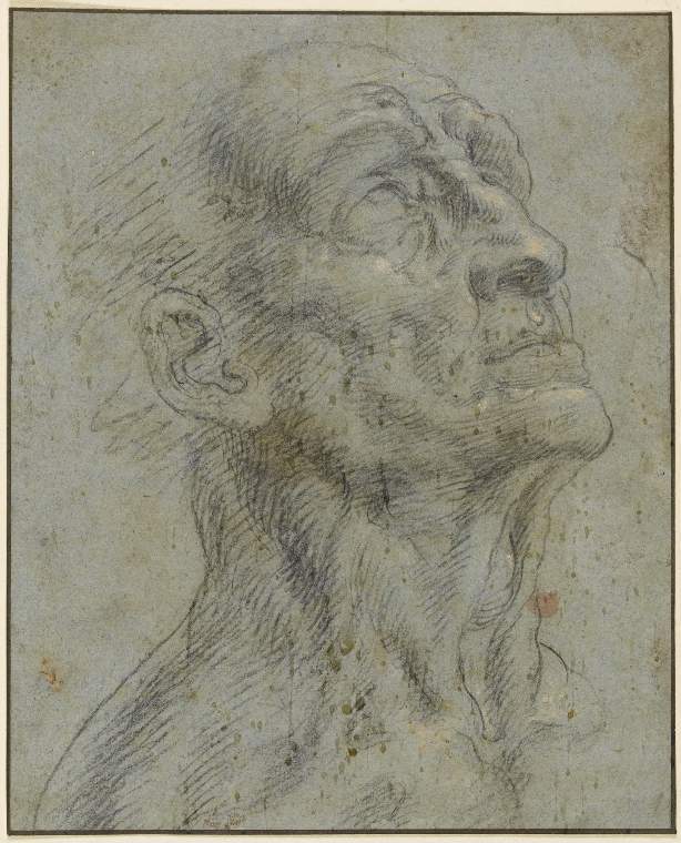 An image of Title/s: Head of a man, looking up Maker/s: Reni, Guido after (draughtsman) [ULAN info: Italian artist, 1575-1642]Technique Description: black chalk, heightened with discoloured white chalk on blue-grey paper Dimensions: height: 227 mm, width: 182 mm
