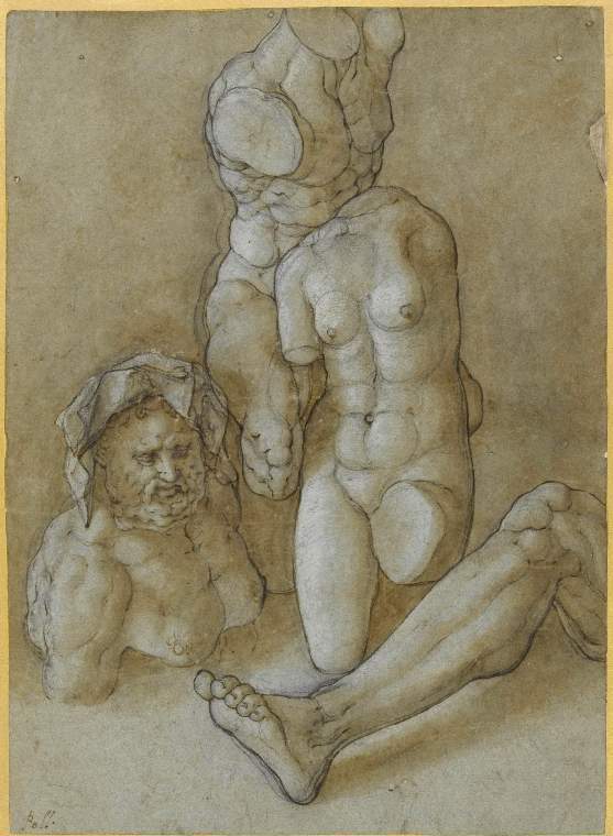 An image of Title/s: Studies after Antique statuary (fragments) 
Maker/s: ASPERTINI, Amico, attributed to 
Technique Description : black chalk, pen and ink, bistre-brown wash, heightened with white (partly oxidised) on blue-green paper 
Dimensions: height: 294 mm, width: 212 mm
 

 

