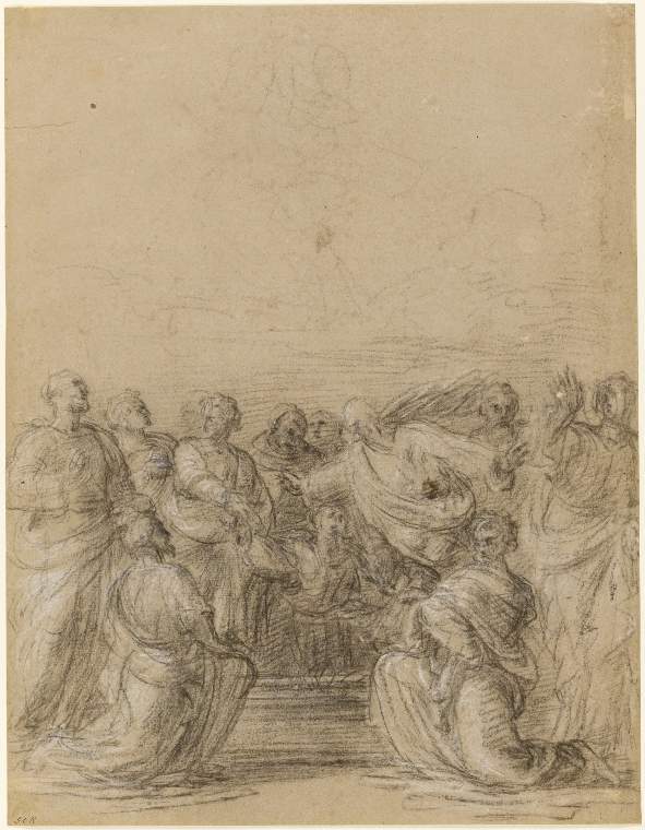 An image of Title/s: Study for an 'Assumption of the Virgin' Maker/s: Paolino da Pistoia (draughtsman) [ULAN info: Italian artist, 1490(?)-1547]Technique Description: black chalk, heightened with white on buff coloured paperDimensions: height: 364 mm, width: 280 mm