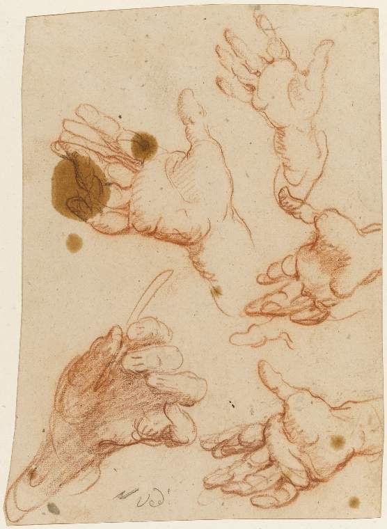 An image of Title/s: Study of hands Maker/s: Strozzi, Bernardo (draughtsman) [ULAN info: Italian artist, 1581-1641/4]Production Notes: a study for the hands of Europa in Strozzi's late painting of 'The Rape of Europa' (c. 1640-44) in the Narodowe Museum, Posen Technique Description: red chalk on paper Dimensions: height: 261 mm, width: 191 mm