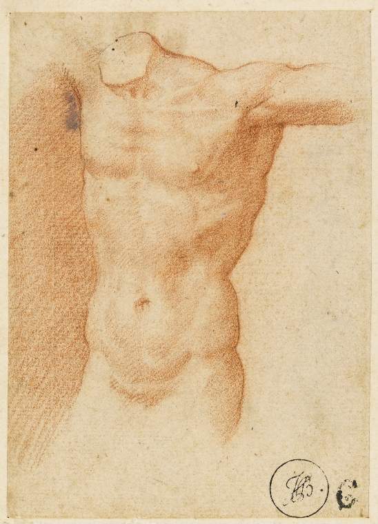 An image of Title/s: Nude male torso Maker/s: Morandini, Francesco (il Poppi) (draughtsman) [ULAN info: Italian artist, 1544-1597]Technique Description: red chalk on paper Dimensions: height: 125 mm, width: 88 mm