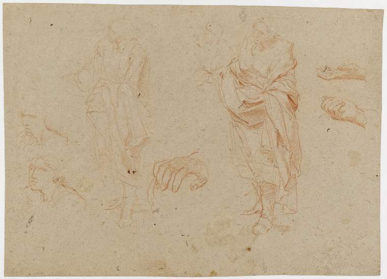 An image of Title/s: A sheet of studies (recto title) Maker/s: Sacchi, Andrea (draughtsman) [ULAN info: 1599?-1661]Technique Description: red chalk with highlights in white chalk on buff paper Dimensions: height: 252 mm, width: 346 mm