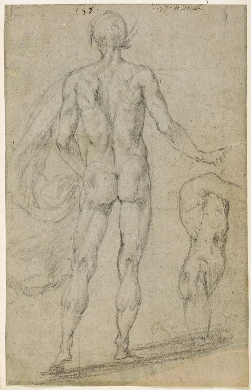An image of Title/s: Two male nudes, seen from behind Maker/s: Vecchi, Giovanni de' (Giovanni del Borgo) (draughtsman) [ULAN info: Italian artist, 1536-1615]Production Notes: a study for the third figure on the left, and possibly an idea for the first figure on the left, in the lunette of the Assumption of Erigone, in the Sala del Mappamondo at Caprarola, which is inscribed '1574' but which was still being painted in at least 1576 Technique Description: black chalk squared for transfer in black chalk on faded blue-grey paper Dimensions: height: 246 mm, width: 156 mm