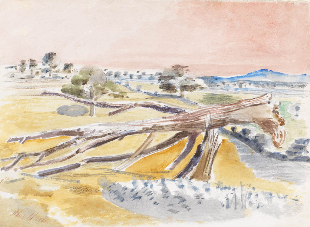 An image of Monster Field, Study II. Nash, Paul (British, 1889-1946). Recto: watercolour over graphite and coloured pencil on card. Verso: graphite on card. Height, card, 296 mm, width, card, 402 mm, 1939.