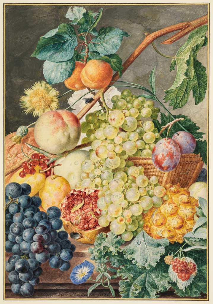 An image of Fruit and flower piece. Huysum, Jan van (Dutch, 1682-1749). Watercolour and bodycolour on paper, laid down on card, height 492 mm, width 340 mm, 1735.