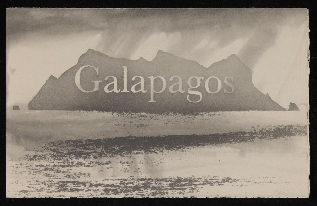 An image of Galapagos Suite. Ackroyd, Norman (British, b.1938). Set of forty etchings, with title page, map and key in purpose-made box. Etching, 2009. Production Note: No. 9 out of a signed edition of 25. Acquisition: given by the artist, 2011.