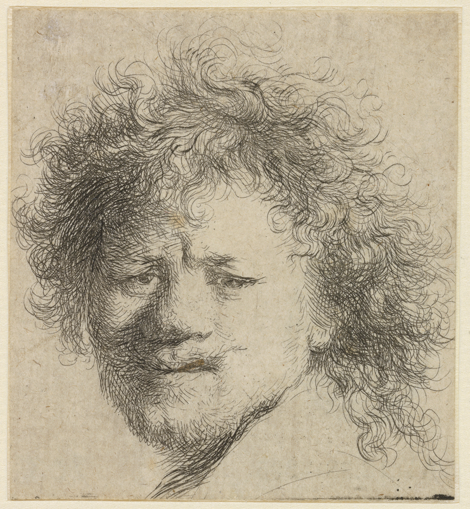 An image of Self-portrait with long bushy hair: Head only. Rembrandt Harmensz. van Rijn (Dutch, 1606-1669). Etching, black carbon ink on laid paper, height, plate, 61, width, plate, 56 mm; height, sheet, 61 mm, width, sheet, 56 mm, circa 1631. Production Note: II/VI. Alternative Number(s): Alternative Number(s): Hollstein (Dutch/Flemish); B8 II/VI; 1969. Biörklund/Barnard; BB31-9 II/VI; 1955.