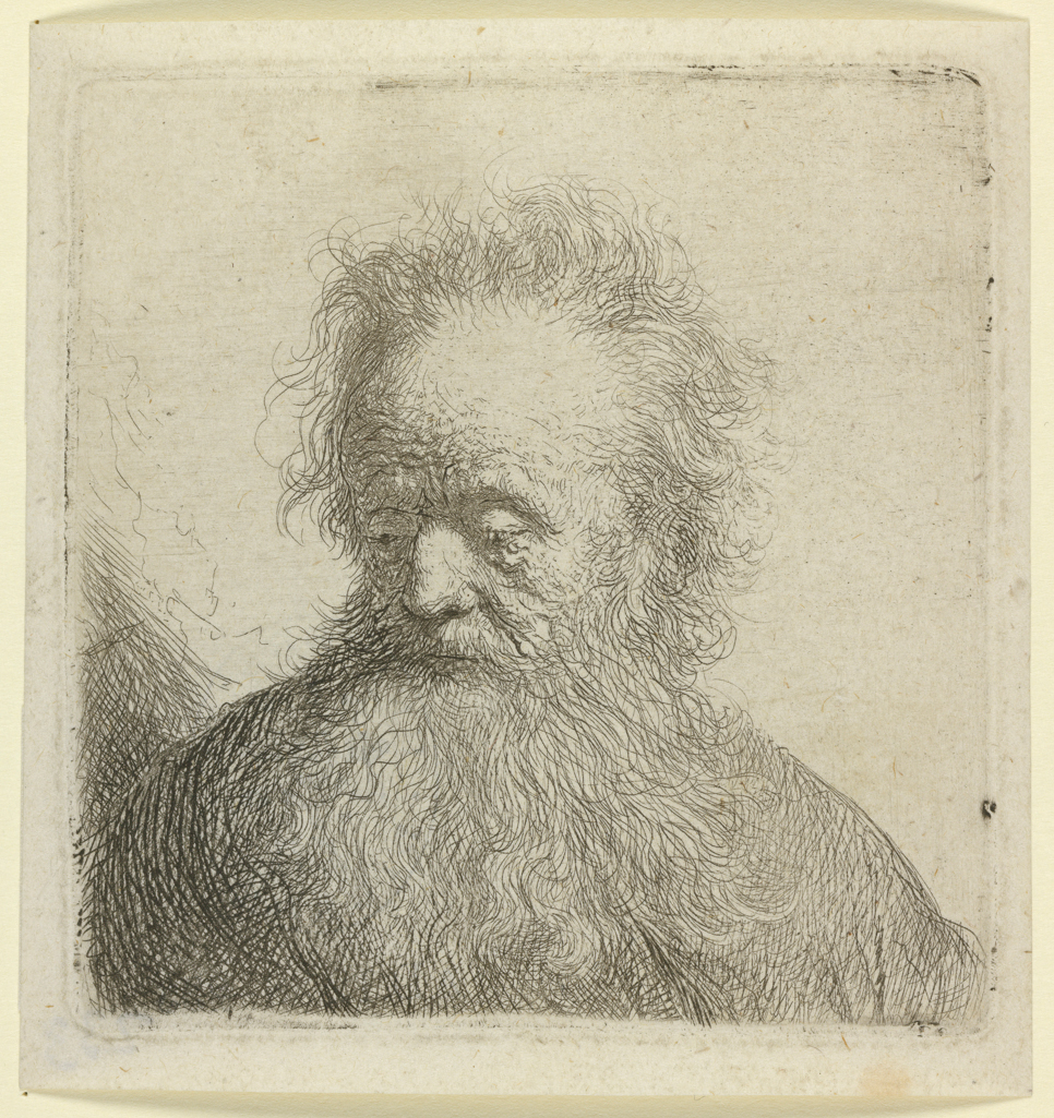 An image of Old man with a flowing beard: Bust. Rembrandt Harmensz. van Rijn (Dutch, 1606-1669). Etching, black carbon ink, laid paper, height, plate, 68 mm, width, plate, 66 mm; height, sheet, 77 mm, width, sheet, 73 mm, 1631. Production Note: II/II. Alternative Number(s): Hollstein (Dutch/Flemish); B315 II/II; 1969. Biörklund/Barnard; BB31-F II/II; 1955.