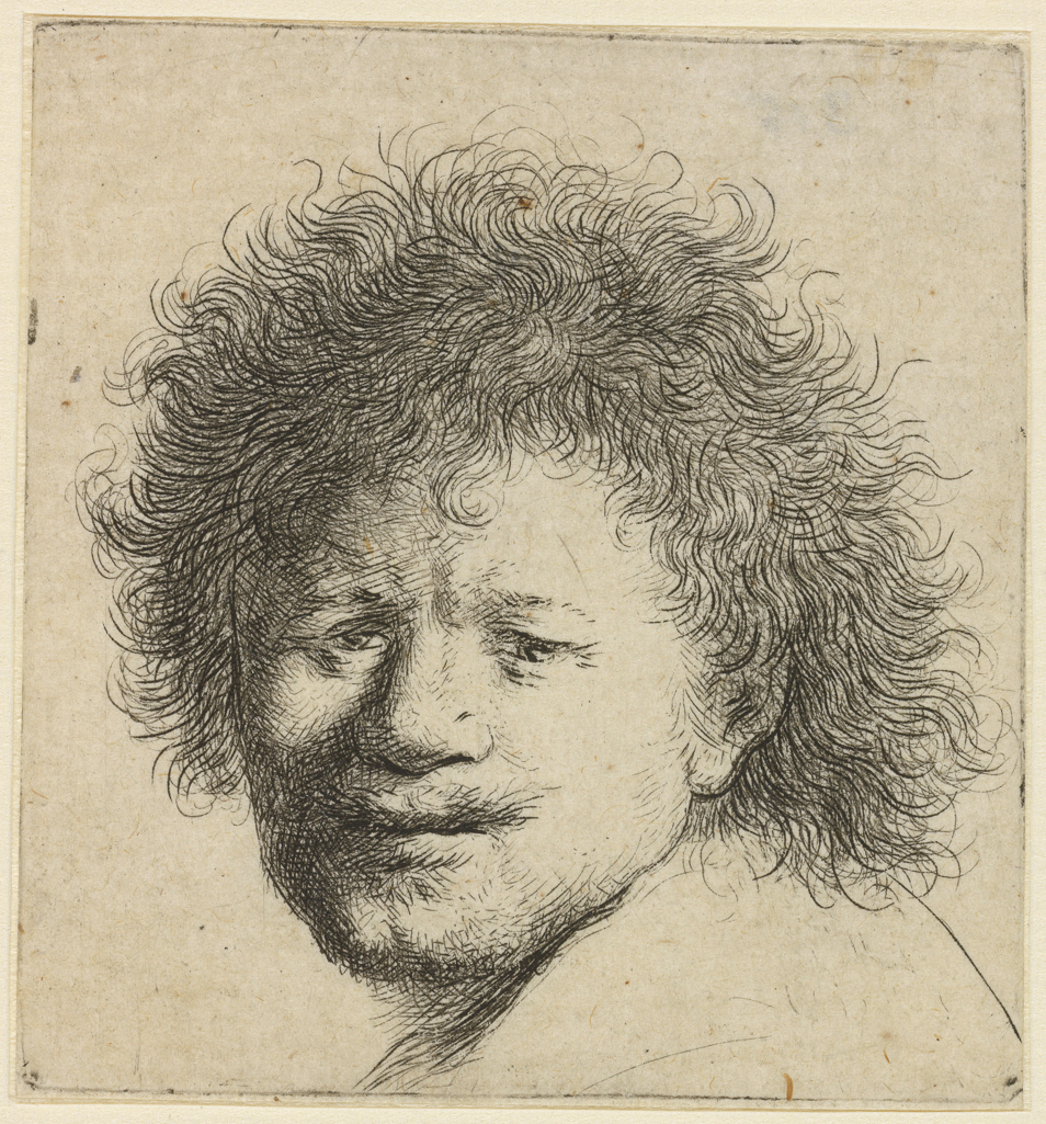 An image of Self-portrait with long bushy hair: Head only. Rembrandt Harmensz. van Rijn (Dutch, 1606-1669). Etching, black carbon ink on laid paper, height, plate, 64.5, width, plate, 61 mm; height, sheet, 66 mm, width, sheet, 61 mm, circa 1631. Production Note: IV/VI. Reworked after Rembrandt by another hand from state IV. Alternative Number(s): Hollstein (Dutch/Flemish); B8 IV/VI; 1969. Biörklund/Barnard; BB31-9 IV/VI; 1955.