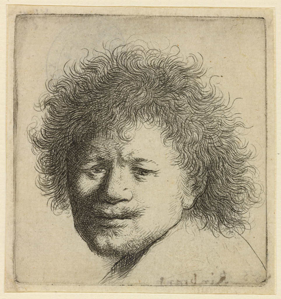 An image of Self-portrait with long bushy hair: Head only. Rembrandt Harmensz. van Rijn (Dutch, 1606-1669). Etching, black carbon ink on laid paper, height, plate, 65, width, plate, 61 mm; height, sheet, 69 mm, width, sheet, 65 mm, circa 1631. Production Note: V/VI. Alternative Number(s): Hollstein (Dutch/Flemish); B8 V/VI; 1969. Biörklund/Barnard; BB31-9 VI/VI; 1955.