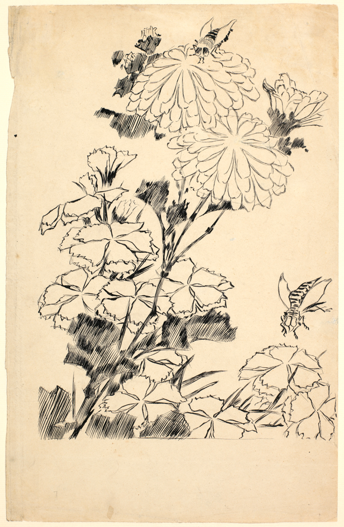 An image of Bees pollinating plants. Gaudier-Brzeska, Henri (British, 1891-1915). Black ink on paper, height 200 mm, width 311 mm.