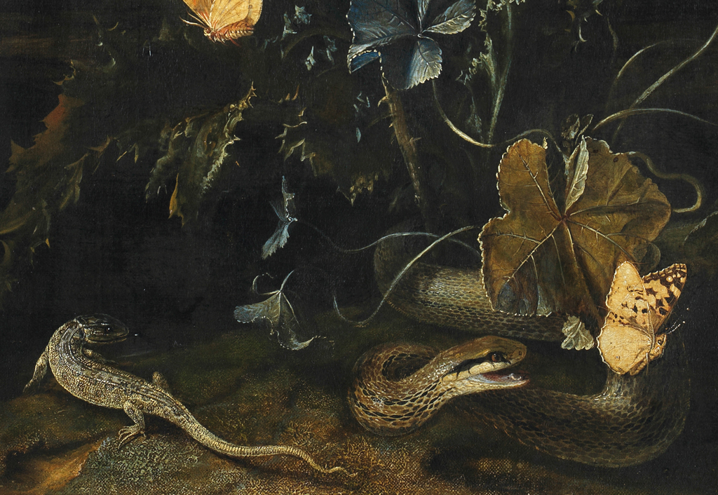 An image of Flowers, insects and reptiles. Marseus van Schrieck, Otto (Dutch, c.1619-1678). Oil on canvas, height 69.5 cm, width 52.7 cm, 1673.