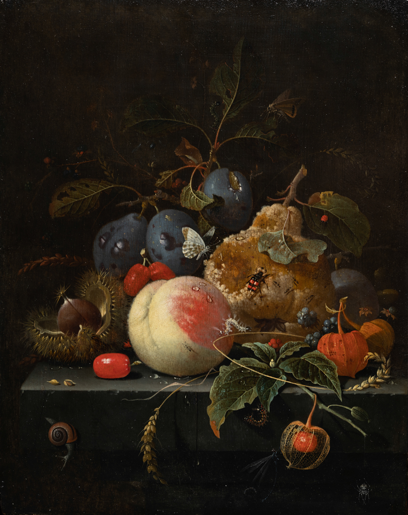 An image of Still-life: fruit and nuts on a stone ledge. Mignon, Abraham (German, 1640-1679). Oil on panel, height 34 cm, width 27 cm.