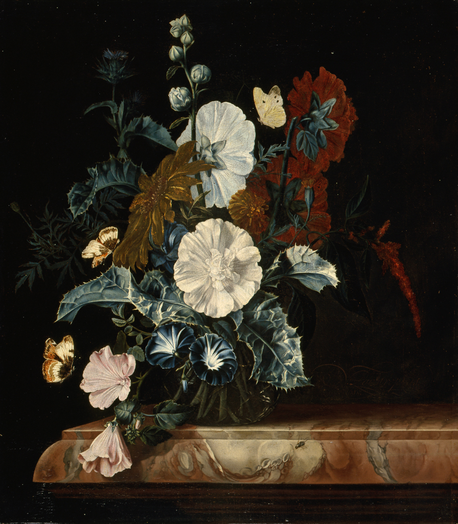 An image of Vase of flowers. Lachtropius, Nicolaes (Dutch, op.1656-1700). Oil on canvas, height 55.8 cm, approx, width 49.4 cm, approx.