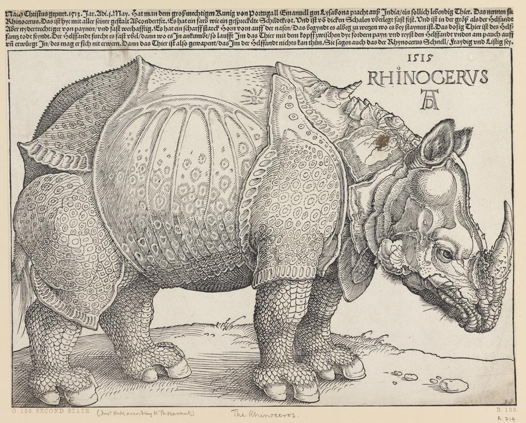 Broadside on a rhinoceros