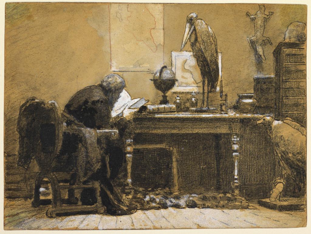An image of A naturalist in his study. Buffet, Paul (French, 1864-1941). Black and red chalk, and wash heightened with white on brown paper, height 149 mm, width 201 mm, c. 1900. Acquisition Credit: Bought with The Gow Fund.
