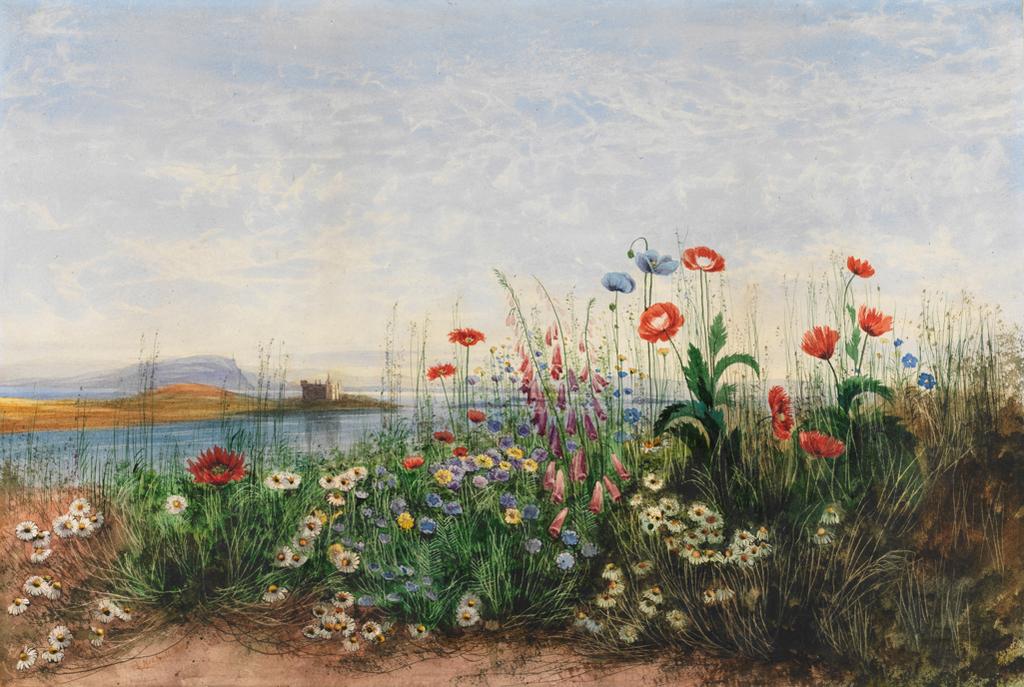 An image of Wild flowers in a landscape setting thought to by Argyllshire. Nicholl, Andrew (British, 1804-1886). Watercolour on paper, height 357 mm, width 530 mm.