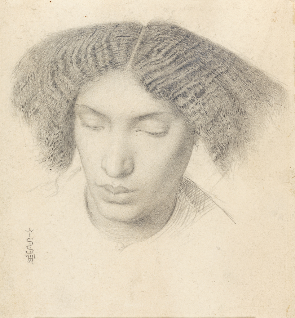 An image of Portrait of Mrs Fanny Eaton. Solomon, Simeon (British, 1840-1905). Graphite on paper, height 147 mm, width 134 mm, 1859.