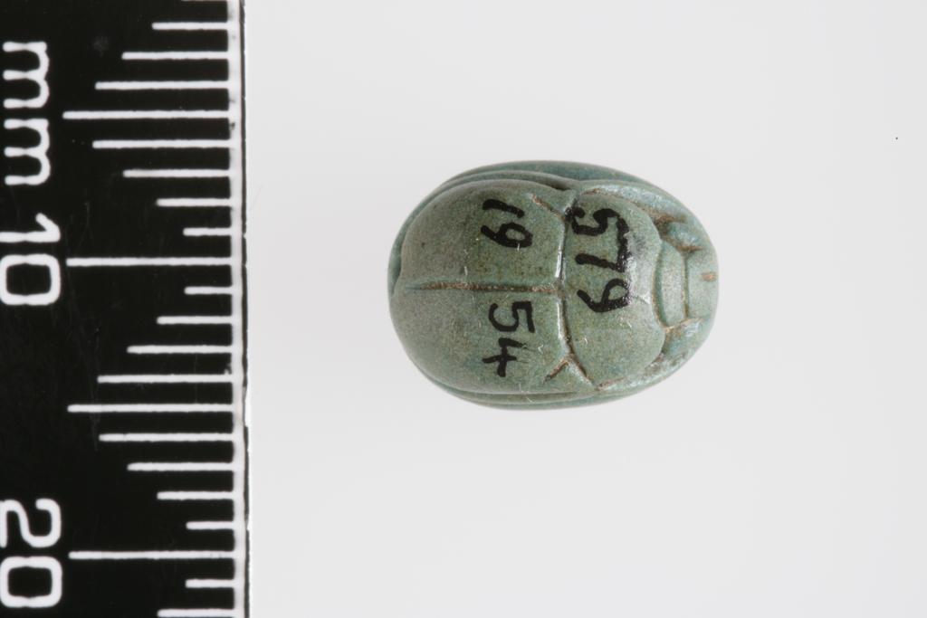 An image of Scarab