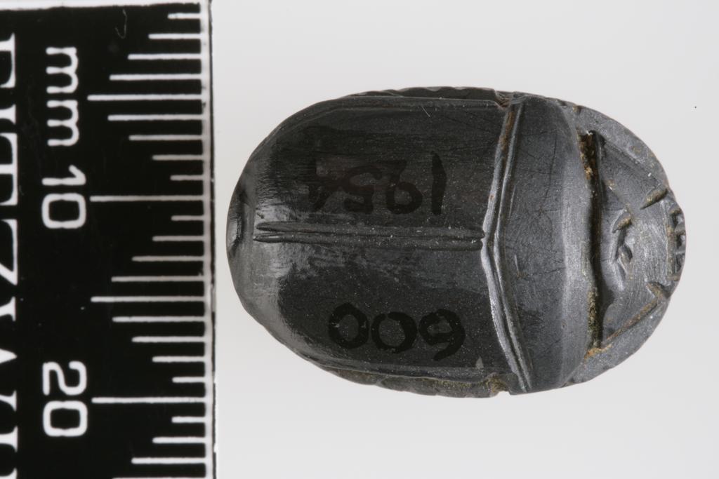 An image of Scarab
