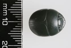 An image of Scarab