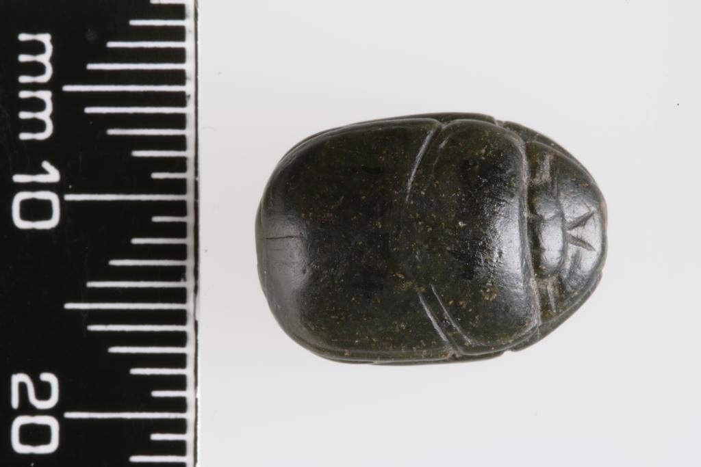 An image of Scarab